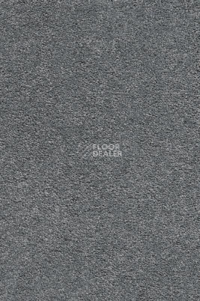 Ковролин AW Vivendi Punch 75 фото 1 | FLOORDEALER